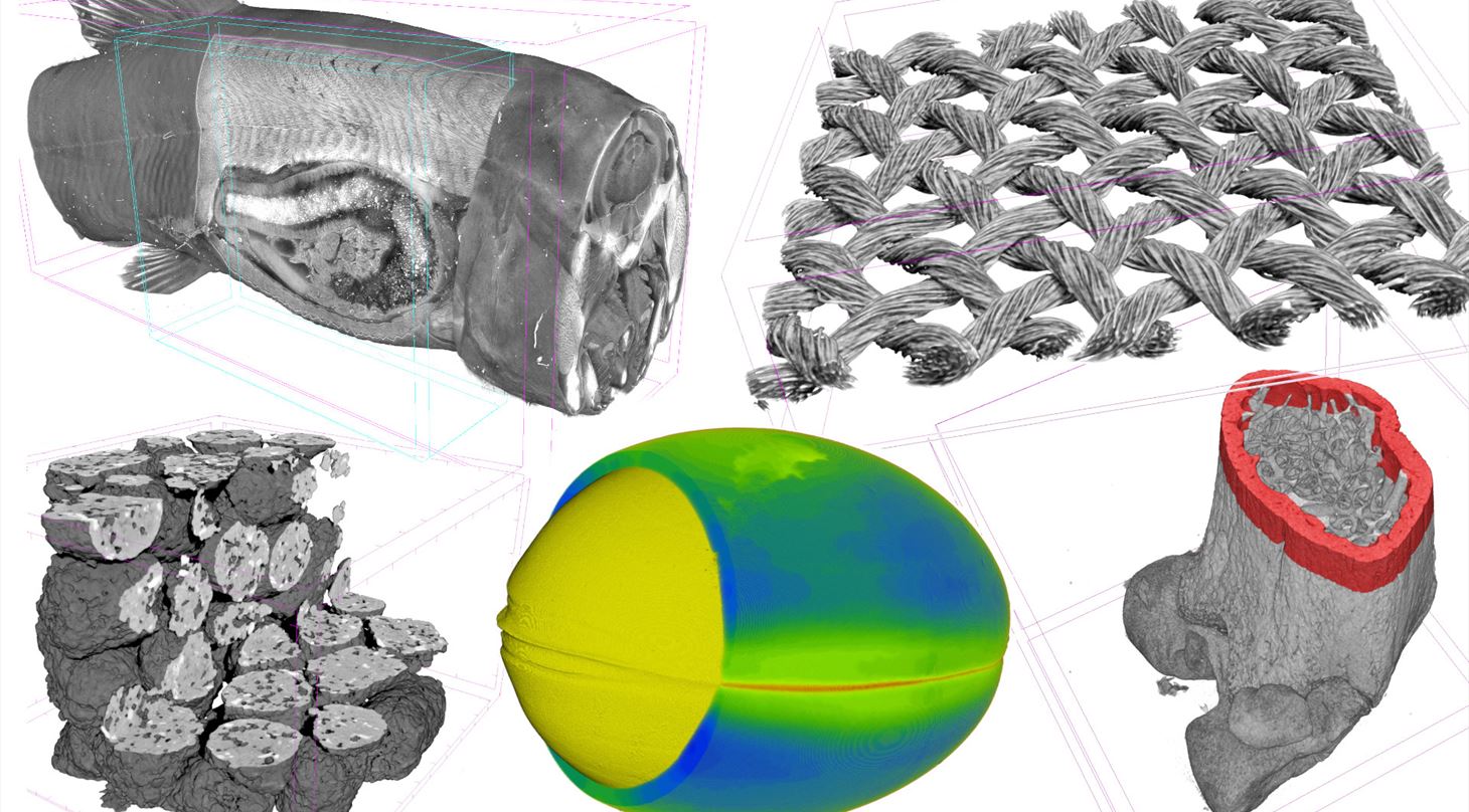 Close-up of Nano Synchrotron imaging objects